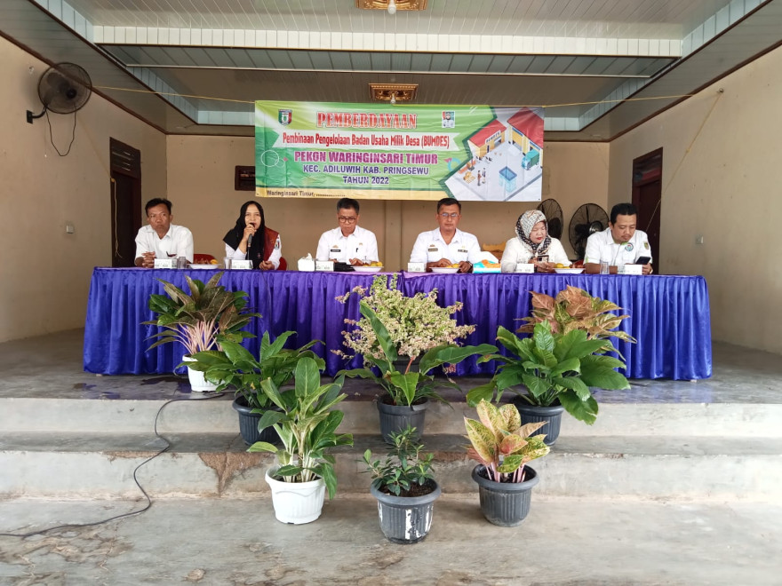 logo desa